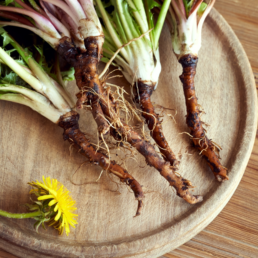 Dandelion Root Tincture