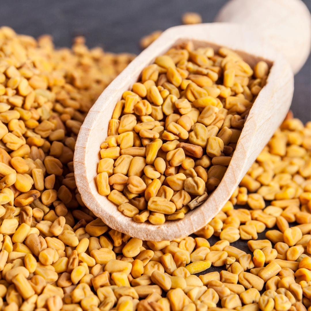 Fenugreek