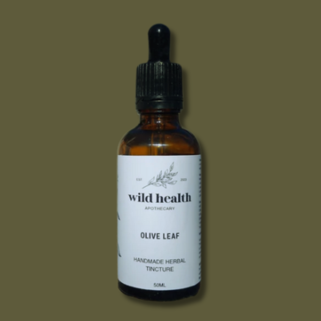 Olive Leaf Tincture