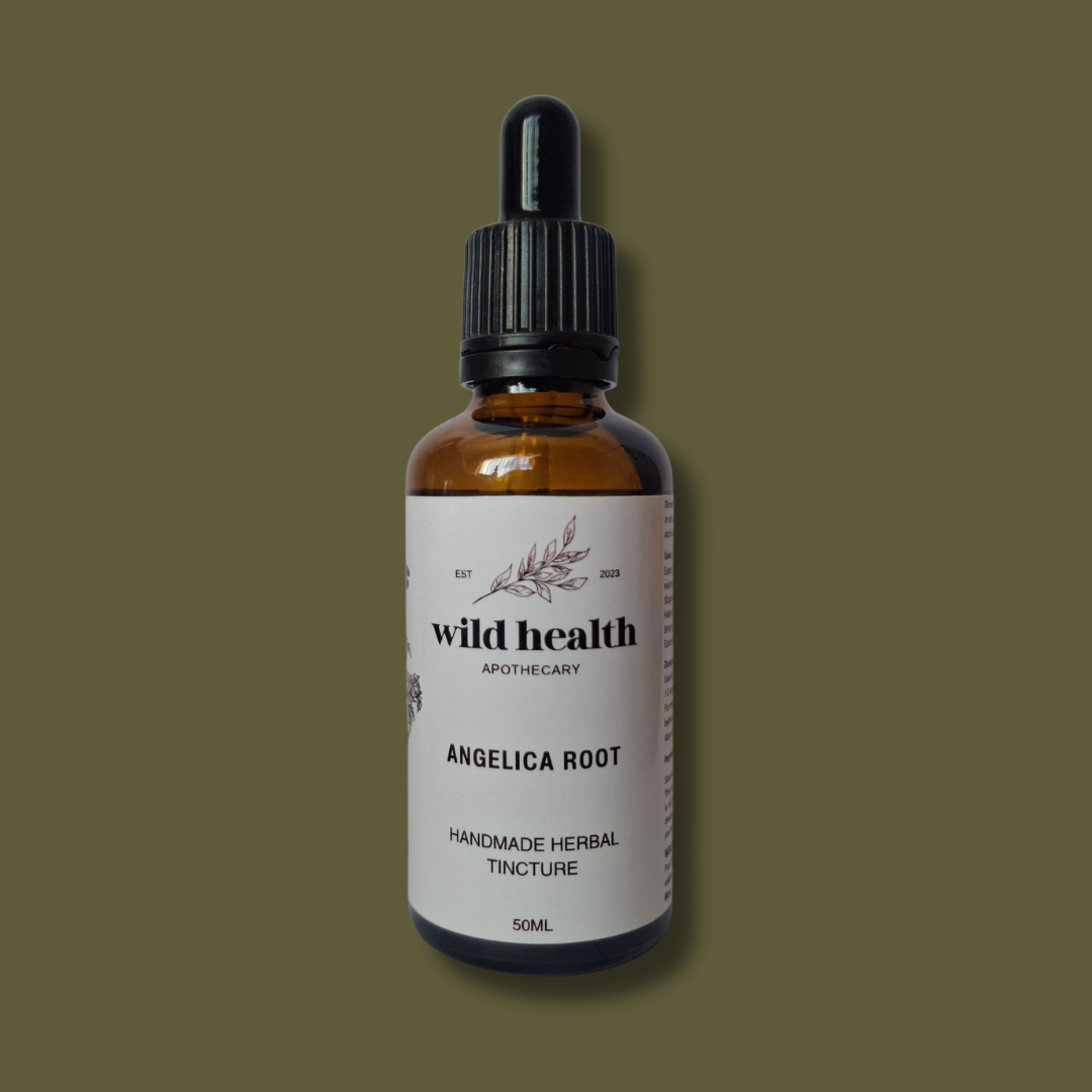 Angelica Root Tincture